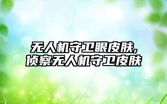 無人機守衛(wèi)眼皮膚,偵察無人機守衛(wèi)皮膚